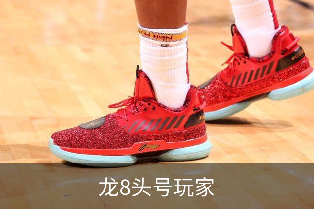 龙8头号玩家公司简介图片